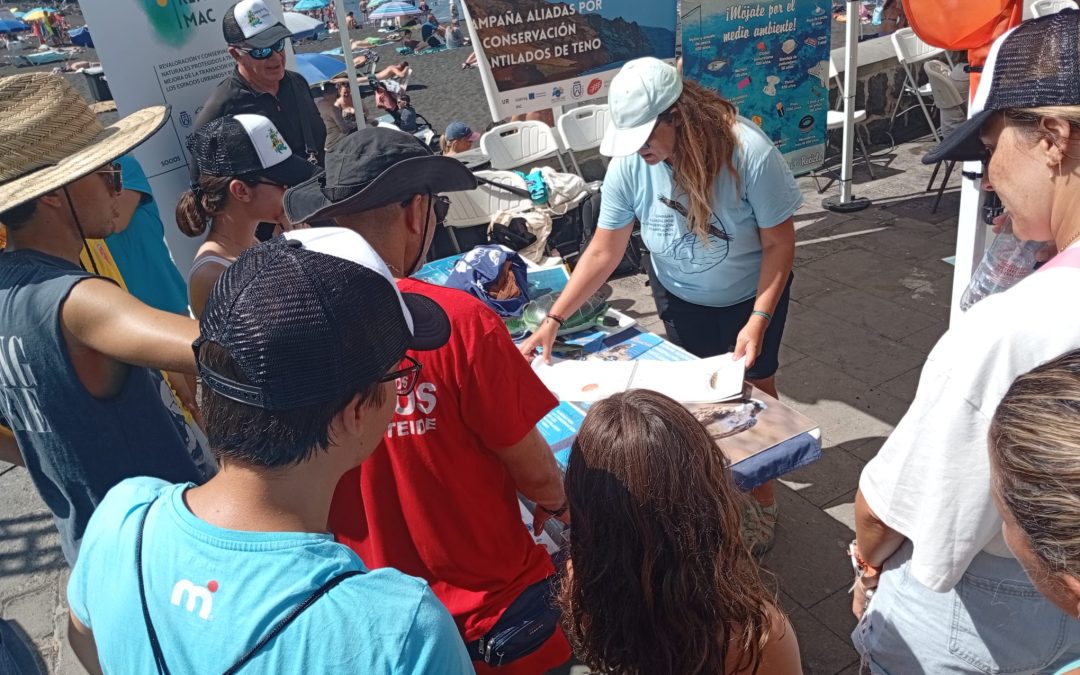 Observación y seguimiento de actividades náuticas frente a Los Acantilados