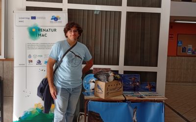 El IES Buenavista profundiza en la conservación de las pardelas con la Campaña “Aliadas por la conservación”