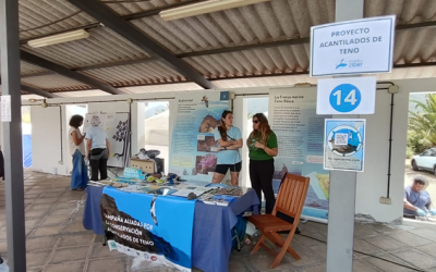 Teno se une por la conservación: RENATURMAC acerca su campaña “Aliadas” al territorio