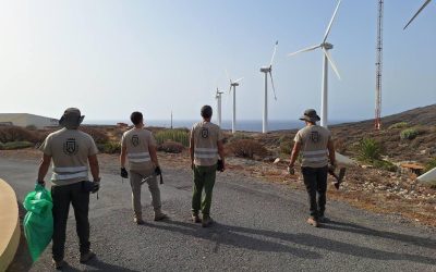 RENATURMAC suma fuerzas con el proyecto de control de flora exótica invasora del Cabildo para erradicar Pluchea ovalis en Montaña Pelada